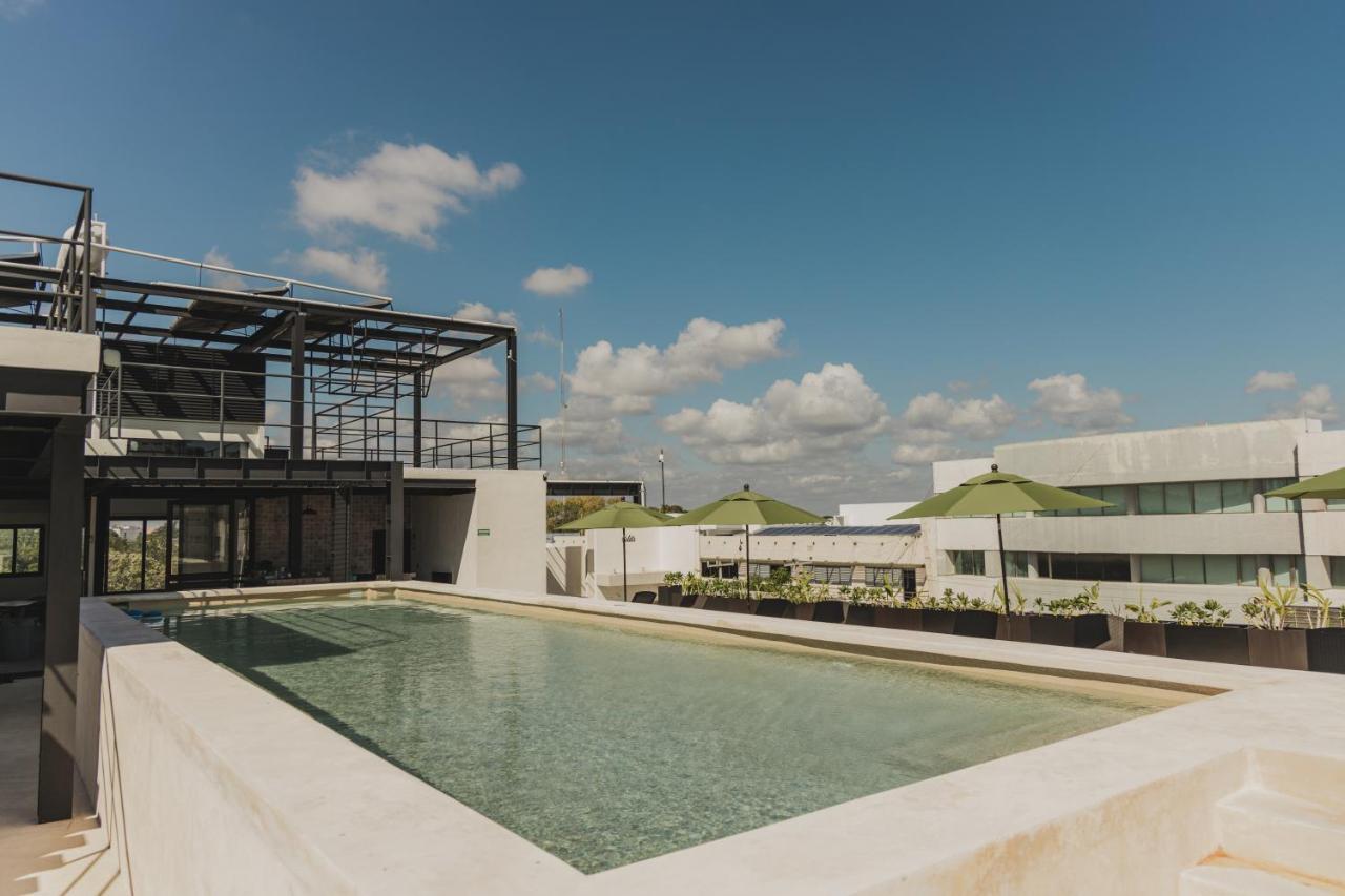 Caleta Hostel Rooftop & Pool Канкун Екстериор снимка