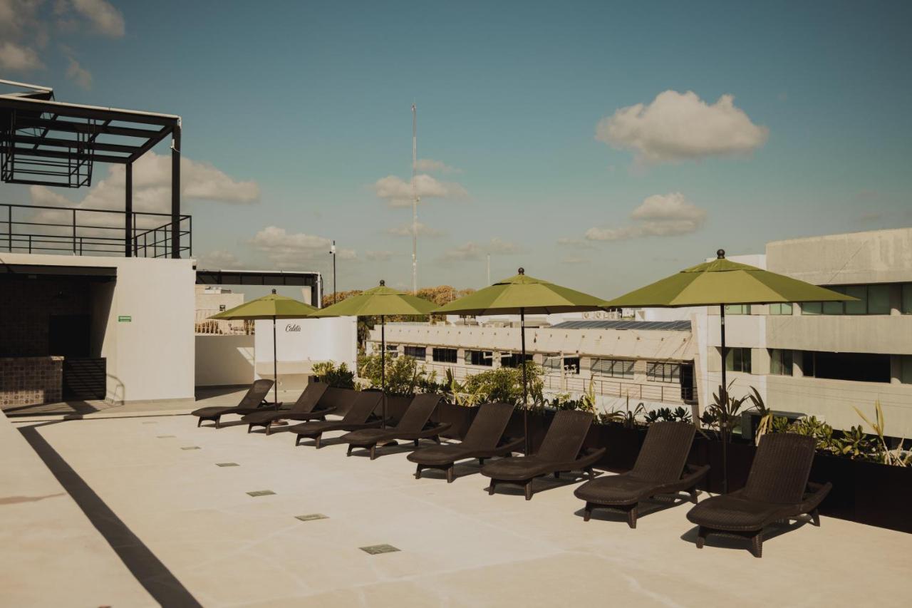 Caleta Hostel Rooftop & Pool Канкун Екстериор снимка